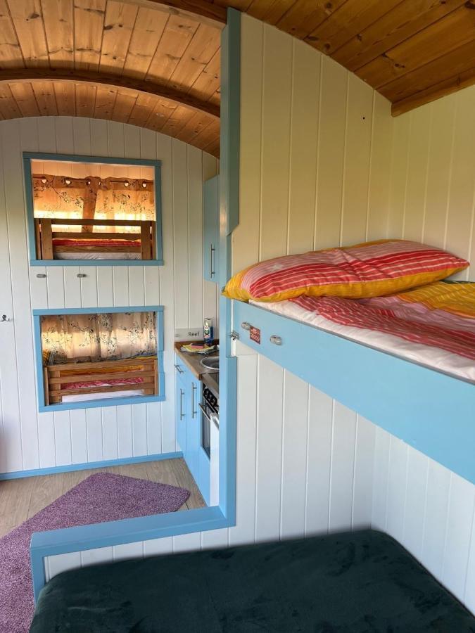 Reef Shepherds Hut Campsite *